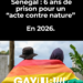 6 ans de prison pour homosexualité : le silence devient politique.
